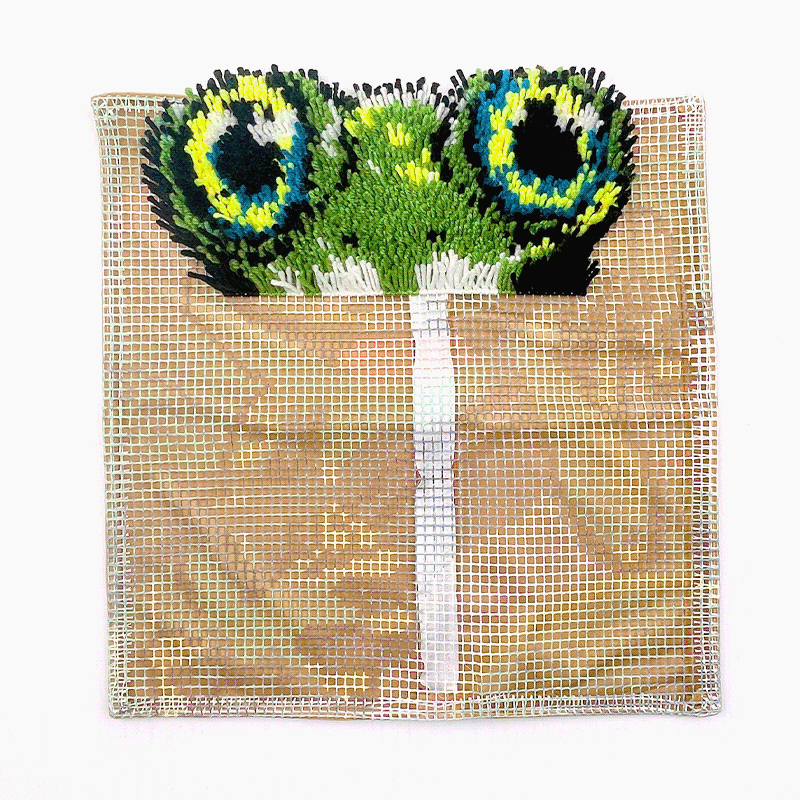 Naughty Frog Latch Hook Pillow Kit